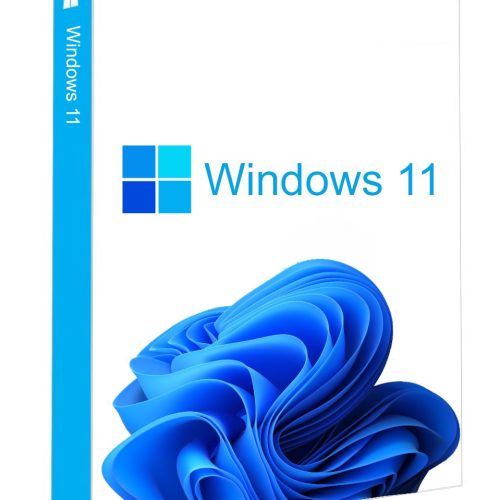 Windows 11 Pro